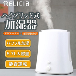 ̑ TOHO nCubh RELICIa RLC-HH6000 