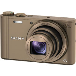 Сå DSC-WX300 (T) [֥饦]ܺ٤
